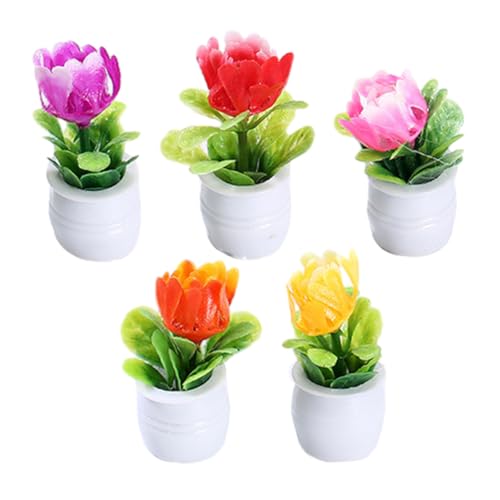 BESTonZON 5 Stück Miniatur Pflanzen Modell Teiliges für Puppenhaus Kleine Topfpflanzen für DIY Bonsai Zubehör für Miniatur Garten und Raumdekoration BESTonZON 5 Stück Miniatur Pflanzen Modell Teiliges für Puppenhaus Kleine Topfpflanzen für DIY Bonsai Zubehör für Miniatur Garten und Raumdekoration von BESTonZON