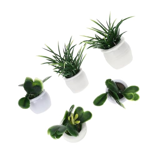 BESTonZON 5St Puppenhaus Topfpflanze Puppenhausgrün Miniaturen Puppenhäuser kleine Figuren Feenfiguren Dollhouse Accessories Dollhouse zubehör Miniaturdekore Spielhaus Gartenzubehör Plastik von BESTonZON