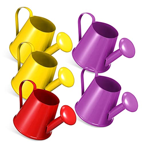 BESTonZON 5er Set Gießkanne Aus Für Kleine Bewässerungsgeräte Für Pflanzen Lehrmittel Und Gartenarbeit Bunte Farben Ideal Für Den Unterricht Und Kreative Projekte BESTonZON 5er Set Gießkanne Aus Für Kleine Bewässerungsgeräte Für Pflanzen Lehrmittel Und Gartenarbeit Bunte Farben Ideal Für Den Unterricht Und Kreative Projekte von BESTonZON