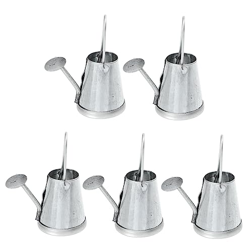BESTonZON 5st Wasserkocher Micro Landschaft Schlauch Durchnässt Mini-gießkannen Docht Pumpe Zinn Kindergießkanne Miniatur Container Anlage System Einzigartig Schiff Silver Eisen von BESTonZON
