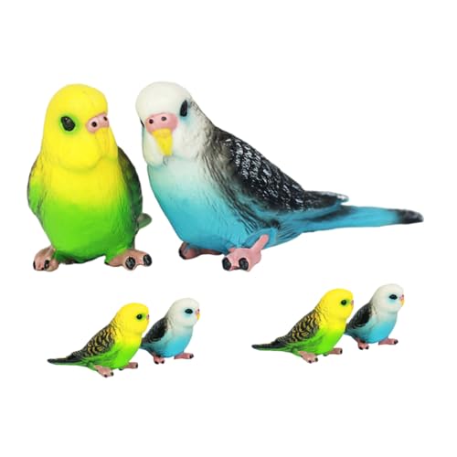 BESTonZON 6 Stück Teiliges Lebensechte Kleine Papageienfigur aus Kunststoff Detailgetreues Sicheres Kinderspielzeug Glatte Oberfläche für Indoor und Outdoor Dekoration von BESTonZON
