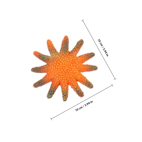 BESTonZON 6 Stück Teiliges Realistische Meerestier Figuren aus Kindgerechte Sichere Modelle mit Glatten Kanten für Meereskunde Pool Strandpartys Pädagogisches von BESTonZON
