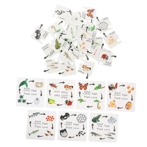 BESTonZON 7 Sets Vorschulspielzeug Puzzlespielzeug Kleinkindpuzzle Puzzles Für Kleinkinder Kinderpuzzles Tierlebenszyklus Puzzle Kinderspielzeug Holzpuzzles Für Pädagogisches BESTonZON 7 Sets Vorschulspielzeug Puzzlespielzeug Kleinkindpuzzle Puzzles Für Kleinkinder Kinderpuzzles Tierlebenszyklus Puzzle Kinderspielzeug Holzpuzzles Für Pädagogisches von BESTonZON