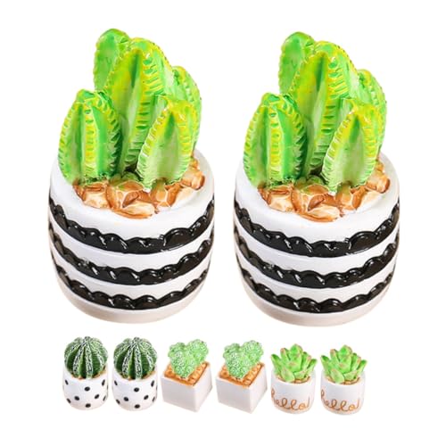BESTonZON 8 Stück Miniaturpflanzen Teiliges Kaktus Deko für Puppenhaus und Mini Garten Künstliche Sukkulenten und Bonsai Modell Tischdekoration und Fotorequisiten BESTonZON 8 Stück Miniaturpflanzen Teiliges Kaktus Deko für Puppenhaus und Mini Garten Künstliche Sukkulenten und Bonsai Modell Tischdekoration und Fotorequisiten von BESTonZON