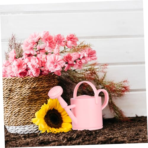 BESTonZON 9 Stück Teiliges Mini Gießkannen Robustem Farbenfrohe Kleine Gartenwerkzeuge Funktionale Miniatur Gießkannen für Puppenhaus Dekoration und Interaktives BESTonZON 9 Stück Teiliges Mini Gießkannen Robustem Farbenfrohe Kleine Gartenwerkzeuge Funktionale Miniatur Gießkannen für Puppenhaus Dekoration und Interaktives von BESTonZON