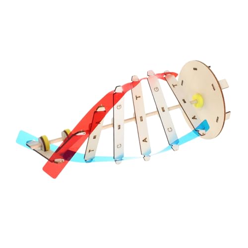 BESTonZON DIY DNA Doppelhelix Modell Bausatz aus Holz Pädagogisches Lernspielzeug für Ab Jahren Anschauliches Biologie Experiment zur Genetischen Struktur Fördert Naturwissenschaftliches von BESTonZON