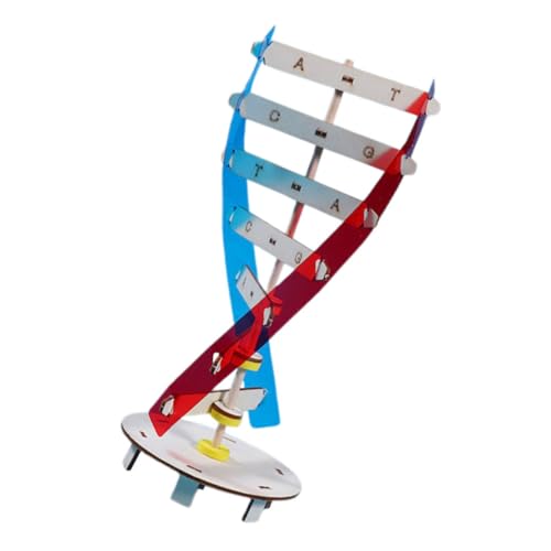 BESTonZON DNA Modellbausatz Doppelhelix Lernspielzeug für Ab Jahre Wissenschaftliches Lernwerkzeug mit DIY Montage Fördert Feinmotorik Kritisches Denken und Biologisches Verständnis von BESTonZON