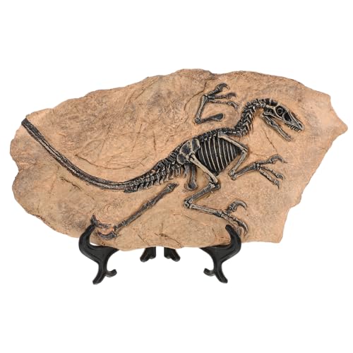 BESTonZON Dinosaurier Fossil Modell Realistische Deko für Kinderzimmer Resin Dinosaurier Fossilien als Tischdeko und Lehrreiche Spielzeuge für Kleine von BESTonZON