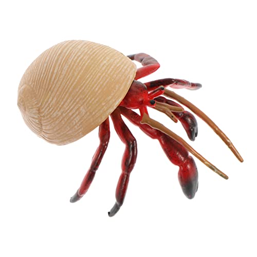BESTonZON Einsiedlerkrebs-Modell Krabbe Anzeigemodelle für Meerestiere für kinderspielzeug Kindertiermodell pagurisches Spielzeugmodell Plastik Beige von BESTonZON