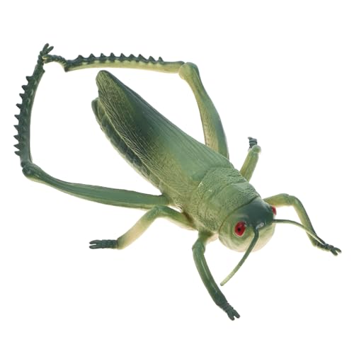 BESTonZON Grasshoppers Spielzeugfiguren Kunststoff Realistische Insektenmodelle Für Garten-Dekoration Outdoor-Spiele Und Kinderfeste Für Osterfeiern Und Lernspiele von BESTonZON