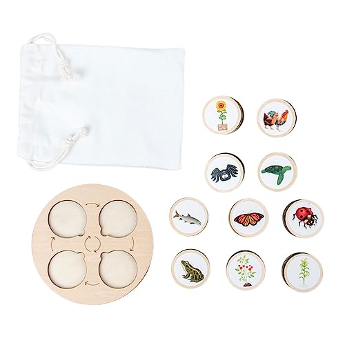 BESTonZON Holz Lebenszyklus Tiermodell mit Tray Detailreiche Wachstumsspielzeuge für Pädagogisches Lernspielzeug zur Kreativitätsförderung Tragbar für Schule und Zuhause BESTonZON Holz Lebenszyklus Tiermodell mit Tray Detailreiche Wachstumsspielzeuge für Pädagogisches Lernspielzeug zur Kreativitätsförderung Tragbar für Schule und Zuhause von BESTonZON
