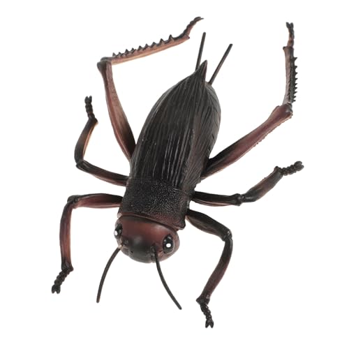 BESTonZON Cricket Figur Skulptur Große Cricket Dekoration für Handwerk Statuen Cricket Schmuck BESTonZON Cricket Figur Skulptur Große Cricket Dekoration für Handwerk Statuen Cricket Schmuck von BESTonZON