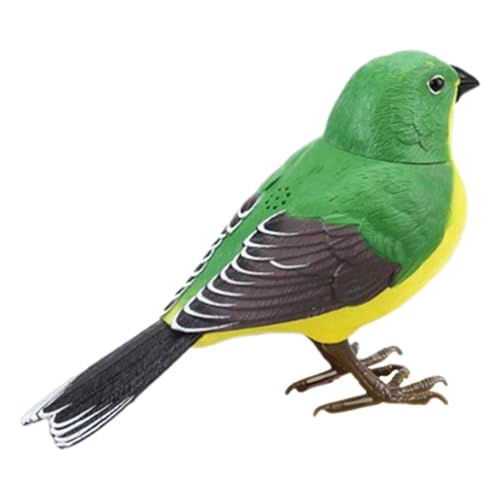 BESTonZON Interaktives Vogelspielzeug Kunststoff Modell Stimme Aktivierte Nachahmung Bunte Elektrische Figur Lustiges Kinderspielzeug für Vogelkäfig Zubehör und Zufällige BESTonZON Interaktives Vogelspielzeug Kunststoff Modell Stimme Aktivierte Nachahmung Bunte Elektrische Figur Lustiges Kinderspielzeug für Vogelkäfig Zubehör und Zufällige von BESTonZON