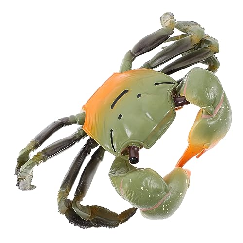 BESTonZON Krabbenmodell Pädagogische Simulation Krabbe Künstliches Krabbenspielzeug Meeresfrüchte-Figur Spielzeug BESTonZON Krabbenmodell Pädagogische Simulation Krabbe Künstliches Krabbenspielzeug Meeresfrüchte-Figur Spielzeug von BESTonZON