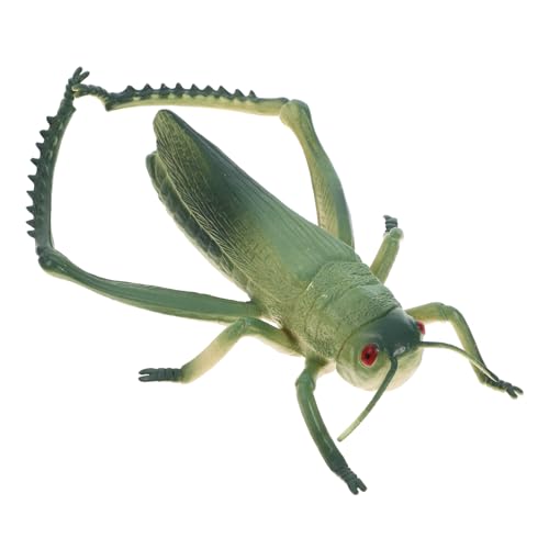 BESTonZON Künstliche Heuschreckenfiguren Kunststoff Realistische Insekten Spielzeuge für Lernzwecke und Partys Vielseitig Einsetzbar für Dekoration und Bildung von BESTonZON