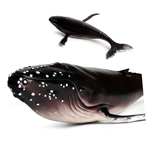 BESTonZON Lebensechtes Humpback Whale Modell aus Hochwertigem Kunststoff Detailgetreues Meereslebewesen und Dekoration für Zuhause Büro Pädagogisches Kinderspielzeug und Sammlerstück von BESTonZON