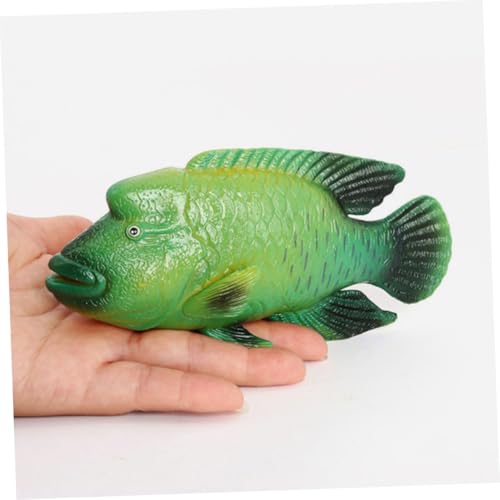 BESTonZON Lebensechtes Humphead Wrasse Fischmodell aus Kunststoff Detailgetreues Deko Fisch Ornament für Aquarium Lernspielzeug Realistische Meeresbewohner Figur zur und Gartendekoration BESTonZON Lebensechtes Humphead Wrasse Fischmodell aus Kunststoff Detailgetreues Deko Fisch Ornament für Aquarium Lernspielzeug Realistische Meeresbewohner Figur zur und Gartendekoration von BESTonZON
