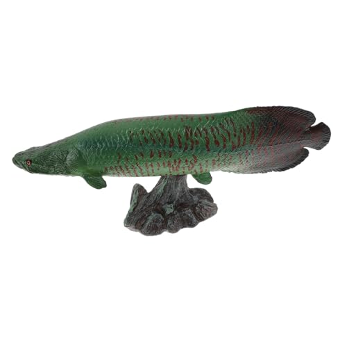 BESTonZON Liebenswerte Meeresfischfigur aus Robustem Kunststoff Realistisches Dekoratives Aquarium Fischmodell als und Partydeko für Kinderzimmer und Mädchenspielzeug BESTonZON Liebenswerte Meeresfischfigur aus Robustem Kunststoff Realistisches Dekoratives Aquarium Fischmodell als und Partydeko für Kinderzimmer und Mädchenspielzeug von BESTonZON