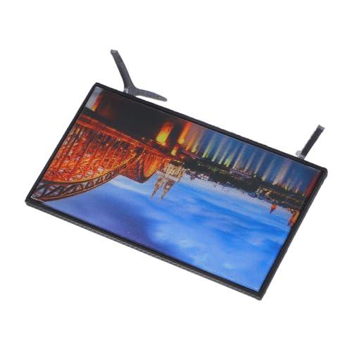 BESTonZON Mini Fernseher Mini Haus Fernseher Miniatur Dinge Miniatur Fernseher Puppenhaus Miniatur Szenenmodell Miniatur Möbel Und Zubehör Puppenhaus Mikro Landschaftsmöbel von BESTonZON