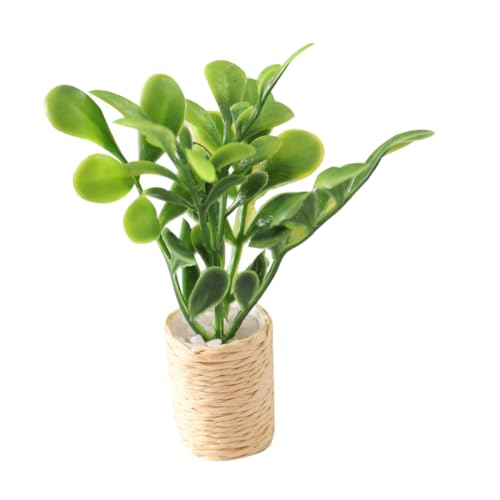 BESTonZON Miniatur Bonsai Pflanze im Topf Künstliche Mini Pflanzen Dekoration für Puppenhaus und Mikrolandschaft Realistische Pflanzen für Kreative Raumgestaltung und Fotorequisiten BESTonZON Miniatur Bonsai Pflanze im Topf Künstliche Mini Pflanzen Dekoration für Puppenhaus und Mikrolandschaft Realistische Pflanzen für Kreative Raumgestaltung und Fotorequisiten von BESTonZON