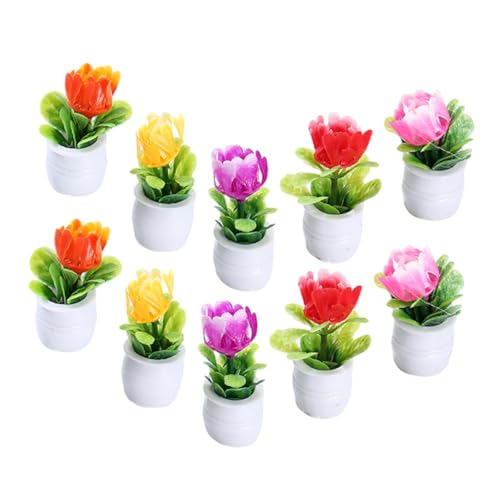 BESTonZON Puppenhaus Miniatur Topfpflanze Modelle 10er Set Realistische Mini Bonsai Zum Basteln von BESTonZON