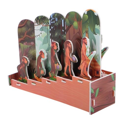 BESTonZON Human Evolution Puzzle Modell Für Junge Mädchen Interaktives Stem Lernspielzeug Logischem Denken Und Motorischen Fähigkeiten Inklusive Detaillierter Menschlicher Evolution von BESTonZON