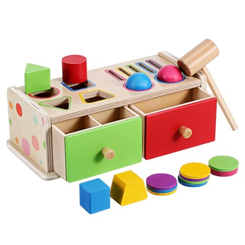 BESTonZON Montessori Lernspielzeug Holz Farb und Formsortierer für Motorikförderung Formen und Farberkennung Pädagogisches Steckspielzeug für Kleinkinder Ab Jahren von BESTonZON