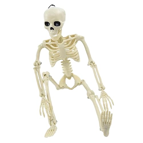 BESTonZON Movierendes Skelett für Halloween Flexibles Skelett Modell für Partys Geisterfestivals und Karneval Stil BESTonZON Movierendes Skelett für Halloween Flexibles Skelett Modell für Partys Geisterfestivals und Karneval Stil von BESTonZON