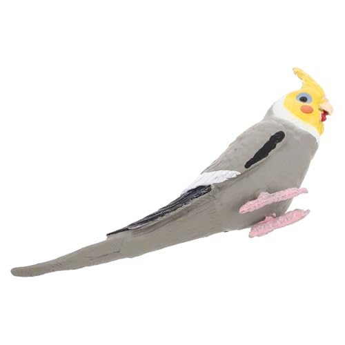 BESTonZON Lebensechtes Cockatiel Papagei Modell Künstliche Vogel Figurine Für Dekoration Im Innen Außenbereich Stabile Ornamente Für Garten Und Zuhause Realistisches Papagei Spielzeug BESTonZON Lebensechtes Cockatiel Papagei Modell Künstliche Vogel Figurine Für Dekoration Im Innen Außenbereich Stabile Ornamente Für Garten Und Zuhause Realistisches Papagei Spielzeug von BESTonZON