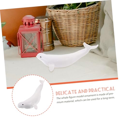 BESTonZON Realistische Weißwal Figur aus Robustem Kunststoff Langlebiges Simulation Wal Modellspielzeug Pädagogisches Meerestier für Dekoratives Wal Ornament BESTonZON Realistische Weißwal Figur aus Robustem Kunststoff Langlebiges Simulation Wal Modellspielzeug Pädagogisches Meerestier für Dekoratives Wal Ornament von BESTonZON