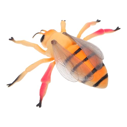 BESTonZON Realistisches Bienenmodell Groß Robust Leicht für Wissenschaft Lernspielzeug Naturerkundung Insekten Tierfiguren Jungen Mädchen Lernspiel von BESTonZON