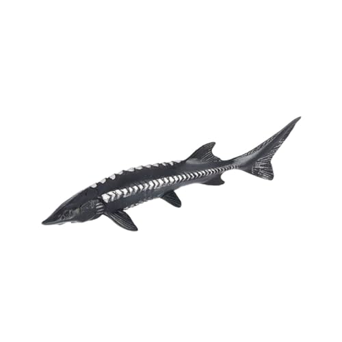 BESTonZON Realistisches Chinesisches Stör Modell Kunststoff Fisch Figur Tier für Lernspielzeug Dekoratives Sammlerstück für Jungen Mädchen BESTonZON Realistisches Chinesisches Stör Modell Kunststoff Fisch Figur Tier für Lernspielzeug Dekoratives Sammlerstück für Jungen Mädchen von BESTonZON