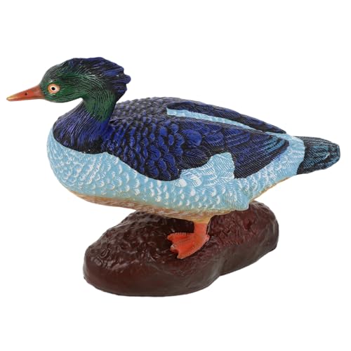BESTonZON Realistisches Entenmodell aus Stabilem Kunststoff Detailgetreue Bauernhoftier-Figur Lernspielzeug Vielseitige Dekoration für Garten Realistische Tierornamente Robustes von BESTonZON