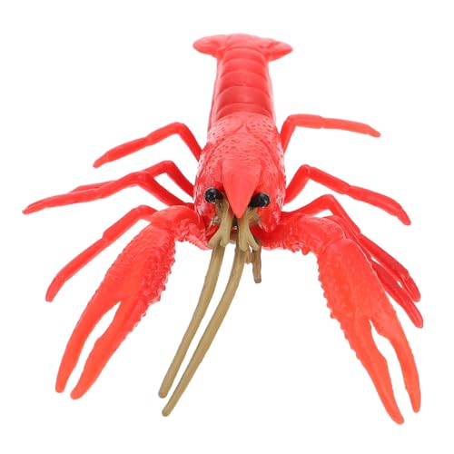 BESTonZON Realistisches Hummer Kunststoff Kreatives Kinderlernspielzeug Naturgetreues Hummermodell Dekoratives Meeres Tier für Kinderzimmer Pädagogisches Lernspielzeug Rotes Design BESTonZON Realistisches Hummer Kunststoff Kreatives Kinderlernspielzeug Naturgetreues Hummermodell Dekoratives Meeres Tier für Kinderzimmer Pädagogisches Lernspielzeug Rotes Design von BESTonZON