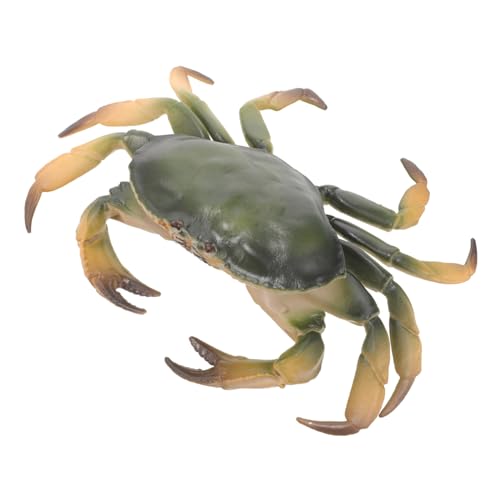 BESTonZON Realistisches Krabbenmodell Aquarium Dekoration Simulation Langlebiges Material Interaktives Lernspiel für Freunde BESTonZON Realistisches Krabbenmodell Aquarium Dekoration Simulation Langlebiges Material Interaktives Lernspiel für Freunde von BESTonZON