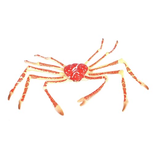 BESTonZON Realistisches Krabbenmodell Kunststofffigur Meereslebewesen Lernspielzeug Fischbecken Deko Bunte Sammelfigur für Zuhause Schule und Kinderzimmer BESTonZON Realistisches Krabbenmodell Kunststofffigur Meereslebewesen Lernspielzeug Fischbecken Deko Bunte Sammelfigur für Zuhause Schule und Kinderzimmer von BESTonZON