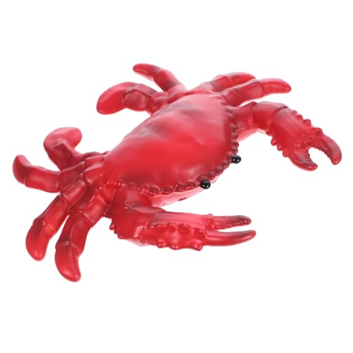 BESTonZON Realistisches Krabbenmodell Simulation Tierfigur Dekoration Langlebig Lebensecht für Lernspielzeug und Ornament von BESTonZON