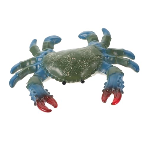 BESTonZON Realistisches Krabbenmodell aus Stabilem Material Detailgetreue Meeresbewohner Figur für Kreatives Lernen und Fantasievolles Kinderfreundliches BESTonZON Realistisches Krabbenmodell aus Stabilem Material Detailgetreue Meeresbewohner Figur für Kreatives Lernen und Fantasievolles Kinderfreundliches von BESTonZON