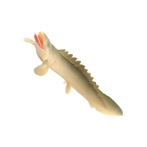BESTonZON Realistisches Meeres Tier Modellspielzeug aus Robustem Kunststoff Pädagogisches Fischspielzeug zur Kognitiven Frühförderung Aquarium Deko für Detailreiches Unterwasser dekor von BESTonZON