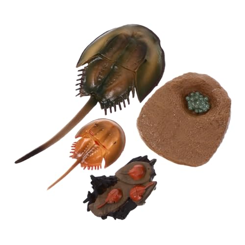 BESTonZON Realistisches Meerestiere aus Robustem Pädagogisch für Kognitiver Fähigkeiten Umweltfreundlich Korrosionsbeständig Spiel und Geschenkspielzeug für Jungen und Mädchen von BESTonZON