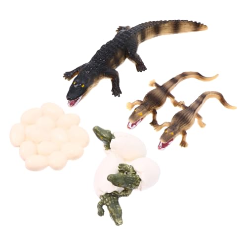 BESTonZON Realistisches Mini Meerestier Modell Pädagogisches Wasserspielzeug für Simuliert Lebenszyklus von Krokodil und Ozeanbewohnern Umweltfreundlich zum Lernen BESTonZON Realistisches Mini Meerestier Modell Pädagogisches Wasserspielzeug für Simuliert Lebenszyklus von Krokodil und Ozeanbewohnern Umweltfreundlich zum Lernen von BESTonZON