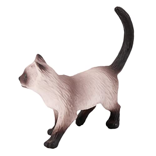BESTonZON Siamkatzen Ornament Katzenspielzeug Modelle Kinderspielzeug Mini Kognitives Für Siamesische Katze Kognitive Requisite Für Kinderkatzen Früherziehung Katzenmodell Mini von BESTonZON
