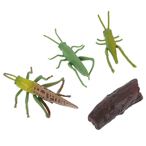 BESTonZON Simulation Insekten Wachstumsmodell Pädagogisches für Lebensnahen Figuren und Verschiedenen Wachstumszyklen für Naturforscher Dekoration von BESTonZON