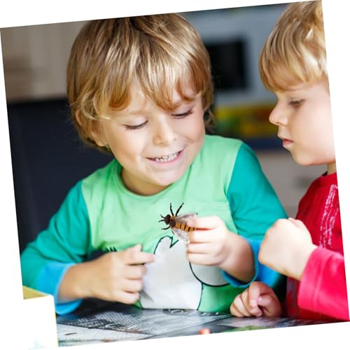 BESTonZON Simulation Modell Lernspielzeug Miniatur Krebs Wachstumszyklus Figur Pädagogisches Lernspielzeug für Geburtstagsgeschenk und Partydeko Eltern Junge Mädchen Interaktion BESTonZON Simulation Modell Lernspielzeug Miniatur Krebs Wachstumszyklus Figur Pädagogisches Lernspielzeug für Geburtstagsgeschenk und Partydeko Eltern Junge Mädchen Interaktion von BESTonZON