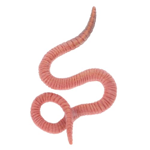 BESTonZON Simulation Regenwurm Modell aus Langlebigem und Vorstellungskraft von Kindern für Kinderzimmer Dekoration von BESTonZON