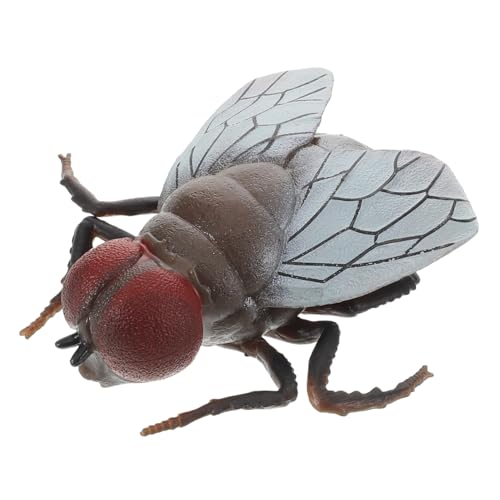 BESTonZON Simulationsfliege Partygeschenke Und Streichzeug Scherzfliege Für Witze Realistisches Insekt Praktische Scherzfliege Falsche Fliege Insektenstreiche Fliegenwitz Knifflige BESTonZON Simulationsfliege Partygeschenke Und Streichzeug Scherzfliege Für Witze Realistisches Insekt Praktische Scherzfliege Falsche Fliege Insektenstreiche Fliegenwitz Knifflige von BESTonZON