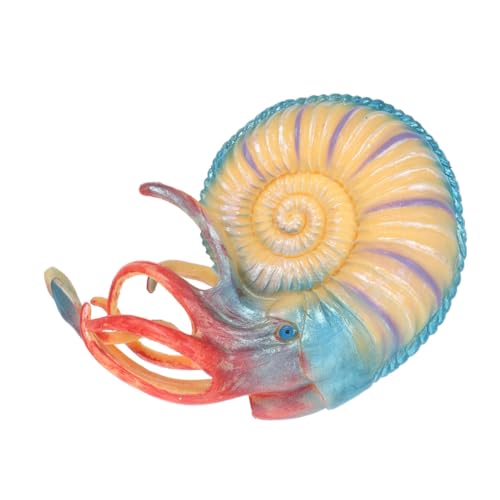 BESTonZON Lebensechtes Nautilus-Modell – Meerestier-Statue Für Kinder Pädagogisches Meeresornament BESTonZON Lebensechtes Nautilus-Modell – Meerestier-Statue Für Kinder Pädagogisches Meeresornament von BESTonZON