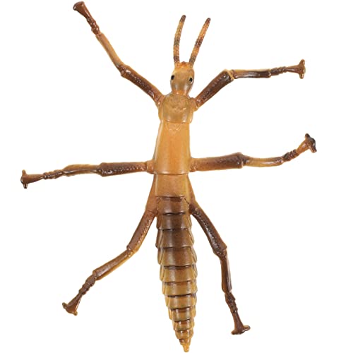 BESTonZON Stabinsektenmodell Kleinkindspielzeug Fehler Für Interessantes Kinderspielzeug Realistisches Kinderspielzeug Für Kleinkinder Gefälschte Mini-Bugs Plastik von BESTonZON