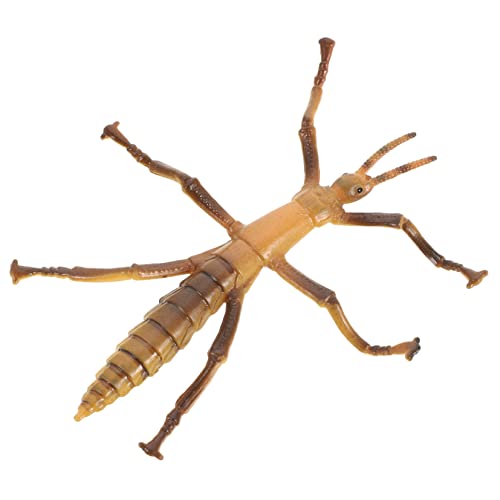 BESTonZON Stabinsektenmodell Tierspielzeug Interessantes Kinderspielzeug Fehler Für Für Kleinkinder Realistisches Kinderspielzeug Gefälschte Mini-Bugs Kinderzubehör Plastik von BESTonZON