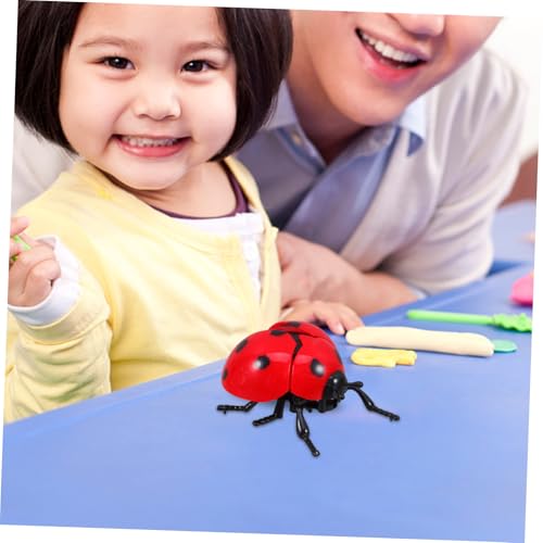 BESTonZON Wind up Marienkäfer Rotes Insektenmodell Mechanisches Getriebe Kinderspielzeug Sicheres Material Fördert Motorik und Kreativität Für Drinnen und Draußen BESTonZON Wind up Marienkäfer Rotes Insektenmodell Mechanisches Getriebe Kinderspielzeug Sicheres Material Fördert Motorik und Kreativität Für Drinnen und Draußen von BESTonZON
